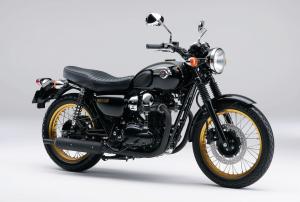 Kawasaki W800 Cafe Style